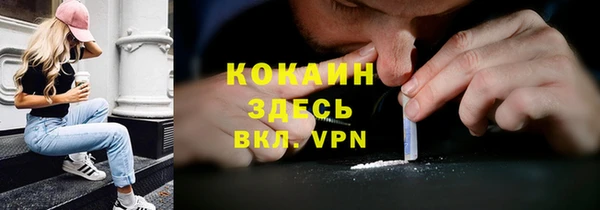 амф Новодвинск