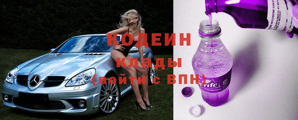 ПСИЛОЦИБИНОВЫЕ ГРИБЫ Новозыбков
