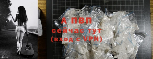 ПСИЛОЦИБИНОВЫЕ ГРИБЫ Новозыбков