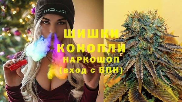 ПСИЛОЦИБИНОВЫЕ ГРИБЫ Новозыбков
