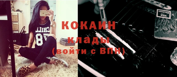ПСИЛОЦИБИНОВЫЕ ГРИБЫ Новозыбков
