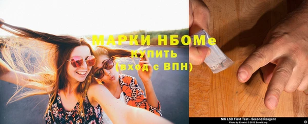 ПСИЛОЦИБИНОВЫЕ ГРИБЫ Новозыбков