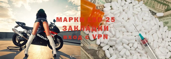 ПСИЛОЦИБИНОВЫЕ ГРИБЫ Новозыбков