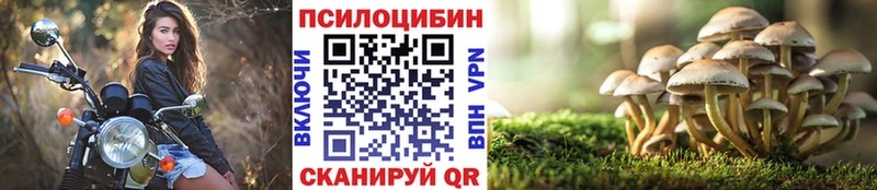 Псилоцибиновые грибы Psilocybine cubensis  как найти закладки  Шатура 