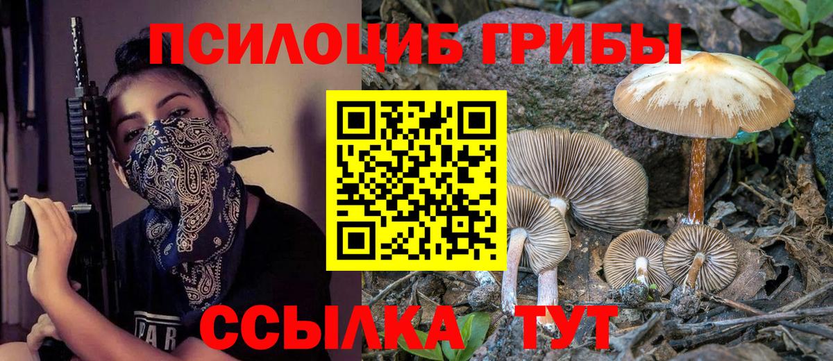 Галлюциногенные грибы Magic Shrooms  купить наркотики сайты  Псилоцибиновые грибы MAGIC MUSHROOMS  Шатура  Вход с VPN 